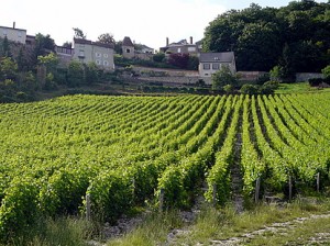 Bergerac Wine Tours