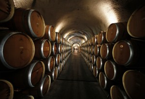 Wine Barrels