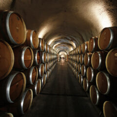 Wine Barrels