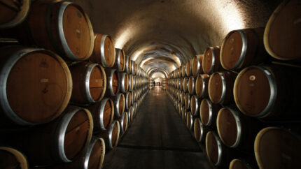 Wine Barrels